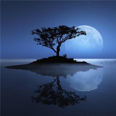 幻灵仙游手游(暂未上线)v1.0 官方安卓版